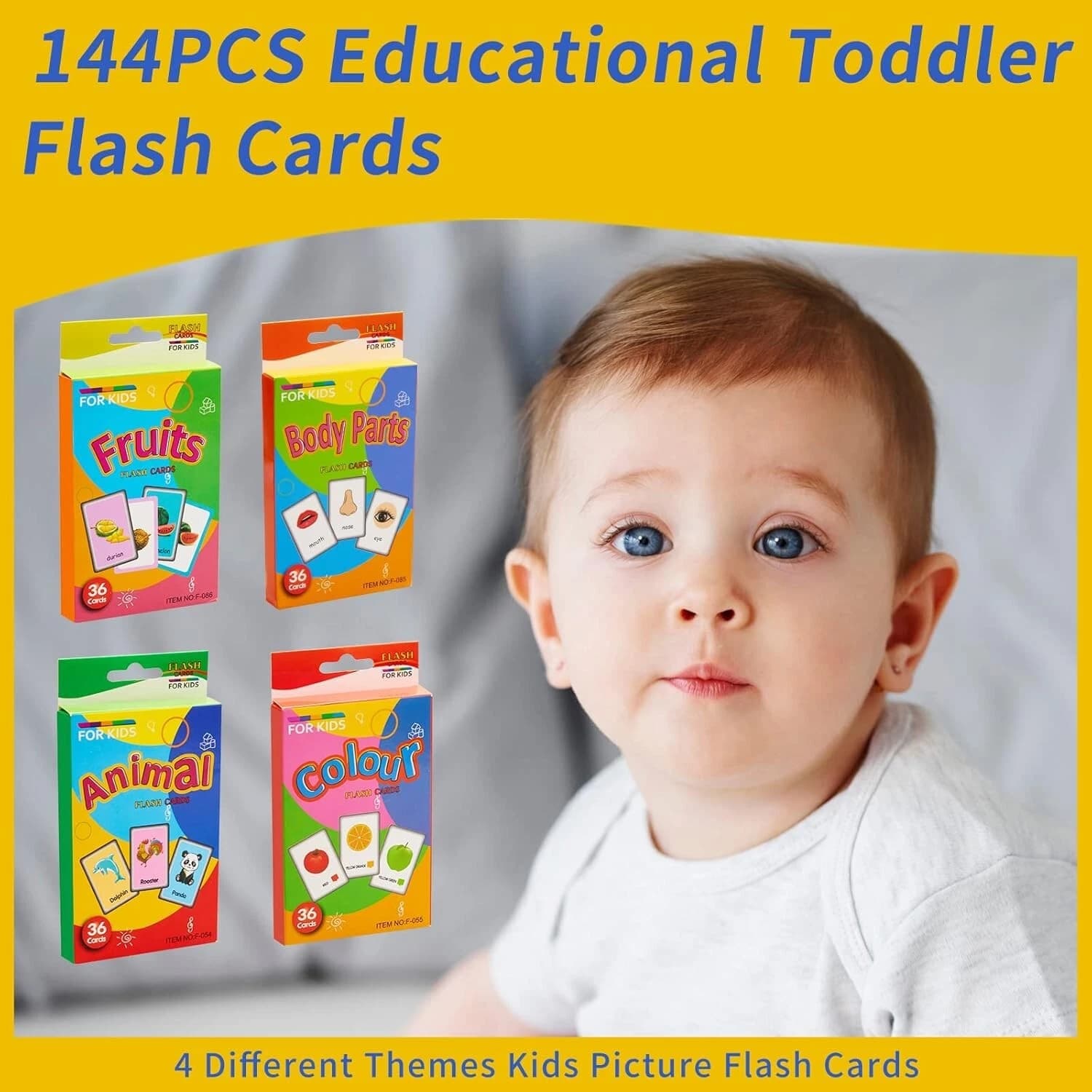 Animal and Nature Learning Flash Cards